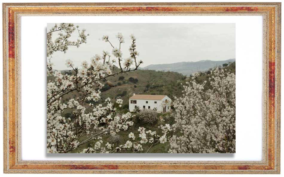 Spain - House and land for sale